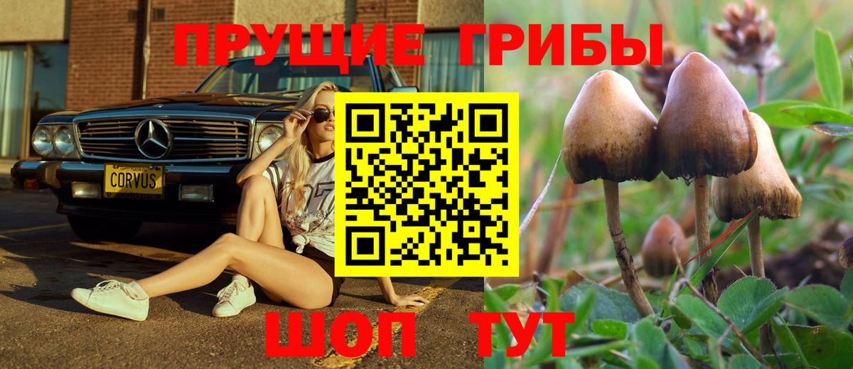Галлюциногенные грибы Cubensis  Галлюциногенные грибы Psilocybine cubensis  Набережные Челны  Вход с VPN 